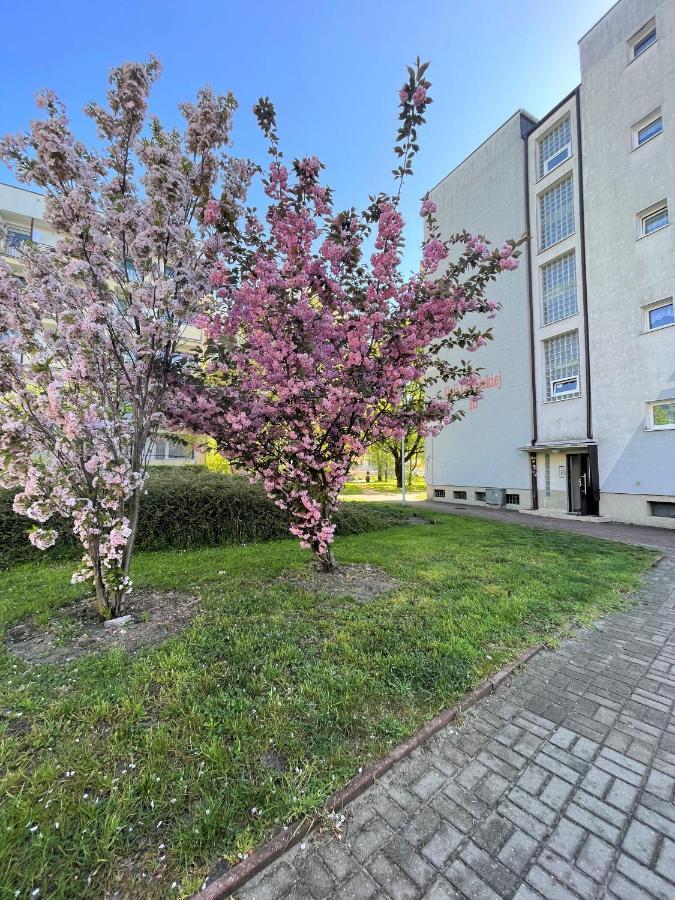 Al-Dom Apartamenty Apartament Zaciszny Kołobrzeg Eksteriør bilde